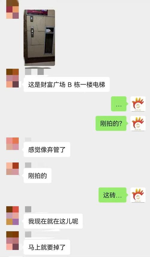 吉林财富广场爆料视频最新,揭秘神秘事件背后的真相