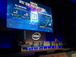 焦点时讯爆料视频大全最新,揭秘最新爆料视频大全，热点事件一网打尽！