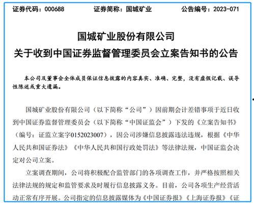 国城矿业最新爆料消息,揭秘企业转型与市场布局新动向