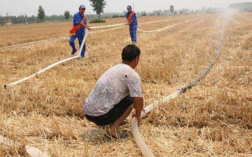 农民二龙最新的爆料,农业新动向背后的惊人内幕