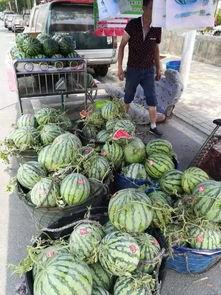 韩城吃瓜爆料最新事件,最新事件揭秘，真相令人震惊！