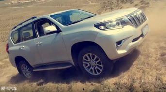 最新普拉多爆料视频大全,最新爆料视频大盘点